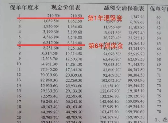合同里的现金价值